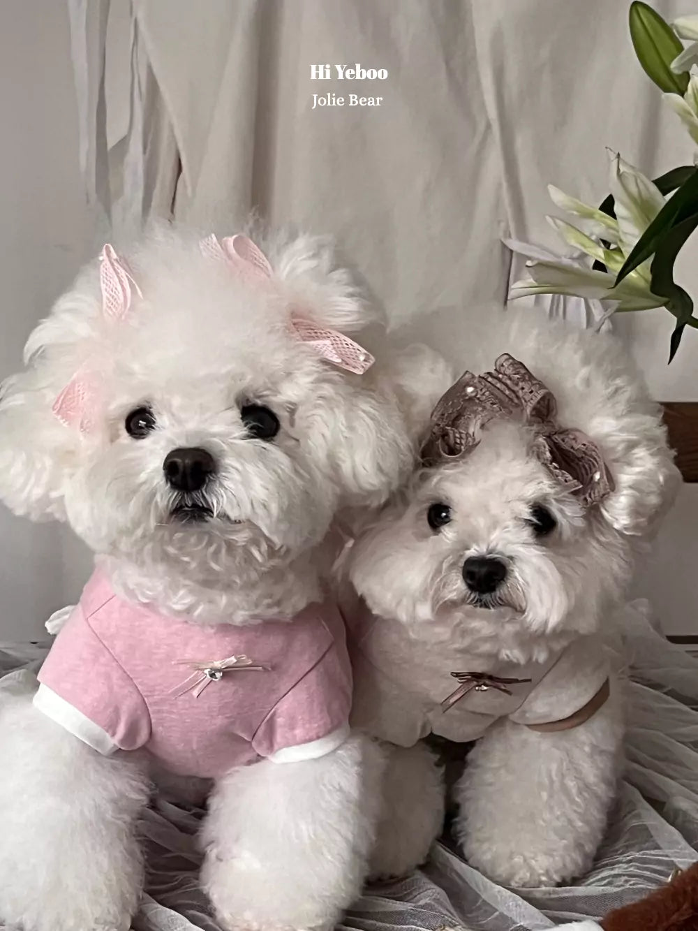 Jolie Bear (Beige)