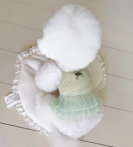 Meloniere Dress