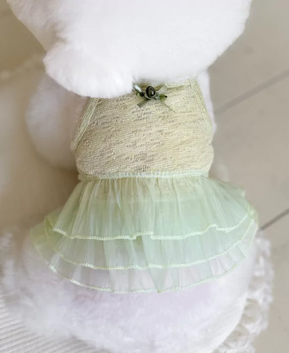 Meloniere Dress