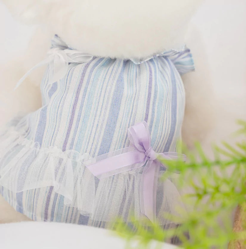 Shine Ribbon One Piece (Blue)