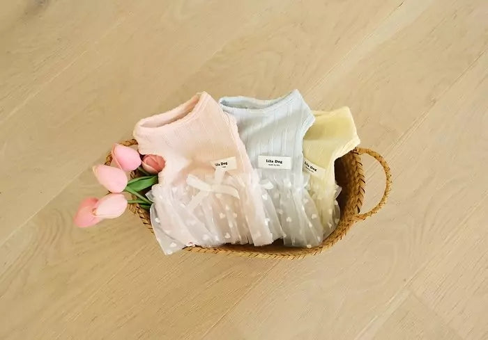 Balletcore T-shirt (Pink)