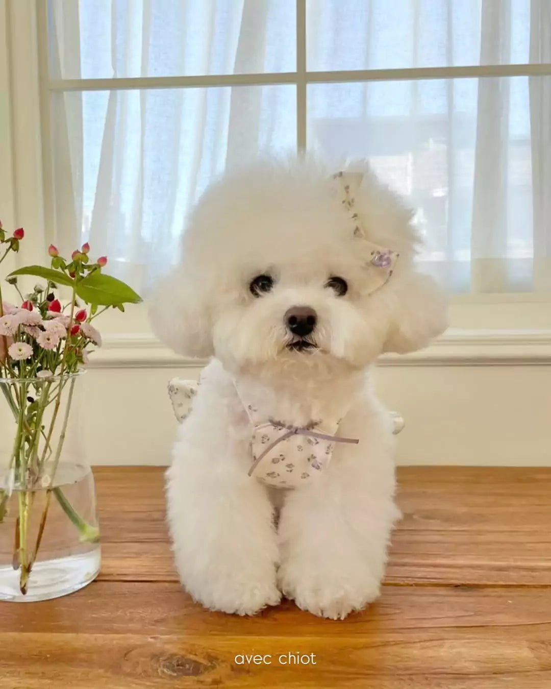 Purple Bloom Harness