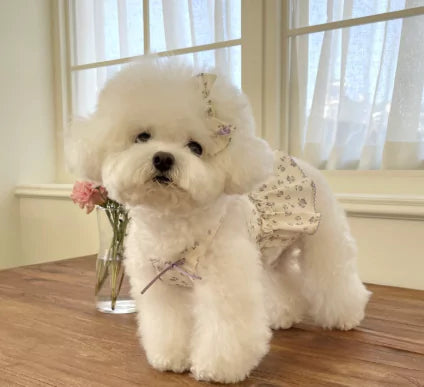 Purple Bloom Harness