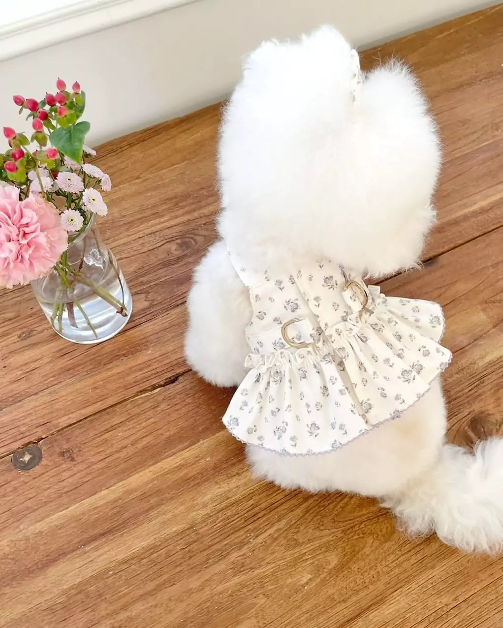 Purple Bloom Harness