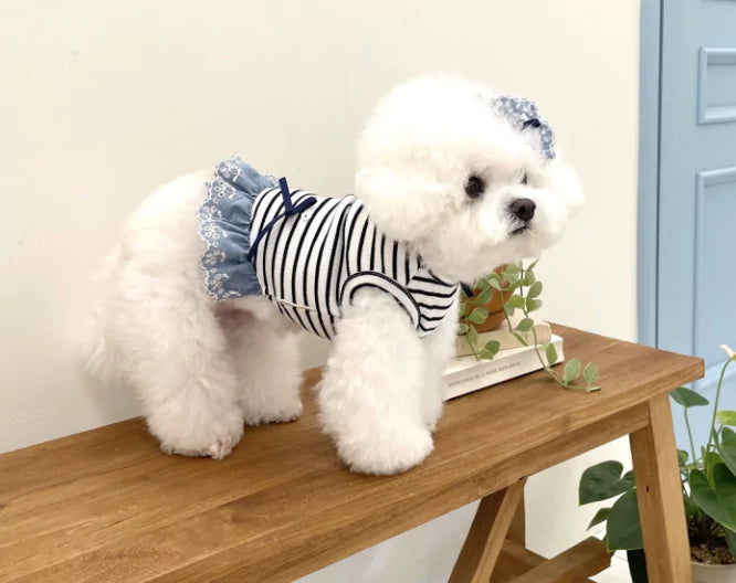 Ribbon Sleeveless