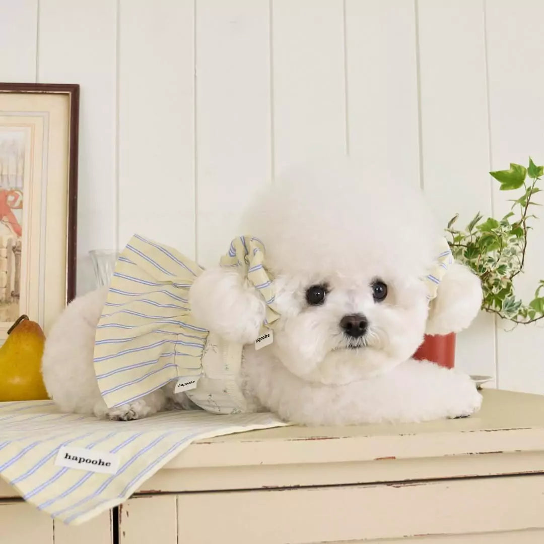 Cottage Bunny (Yellow)