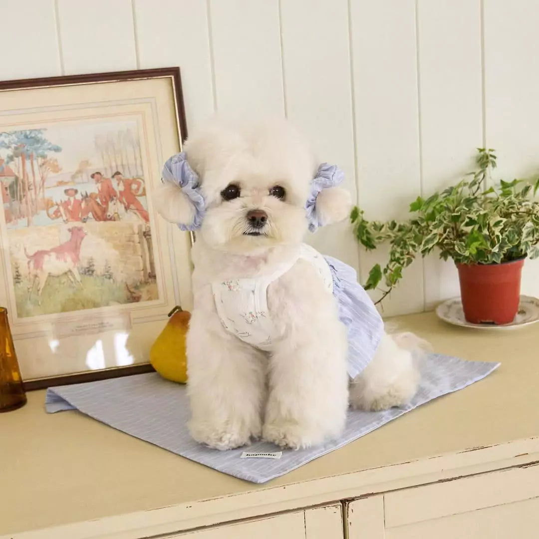 Cottage Bunny (Blue)