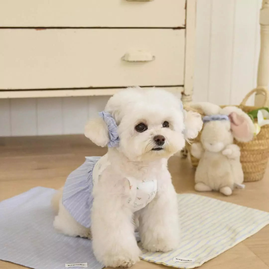 Cottage Bunny (Blue)
