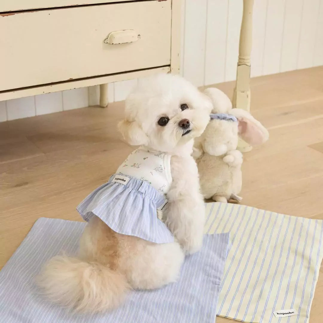 Cottage Bunny (Blue)