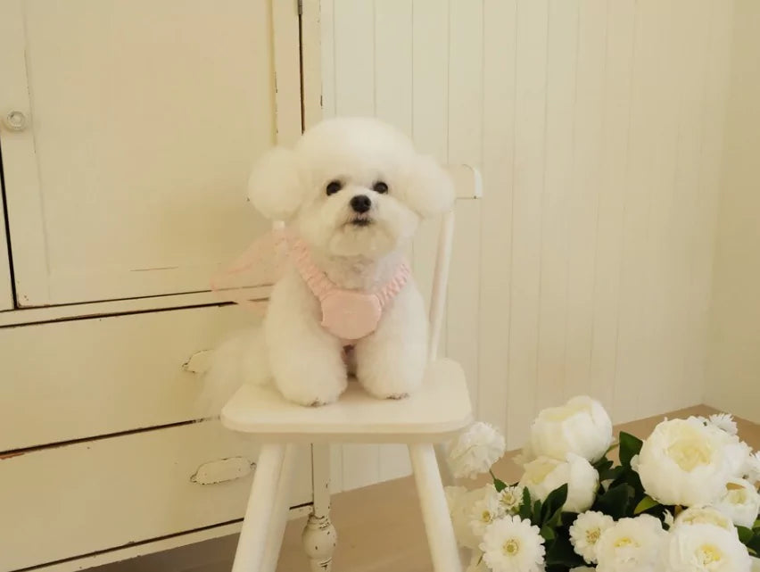 Tinkerbell One Piece Harness