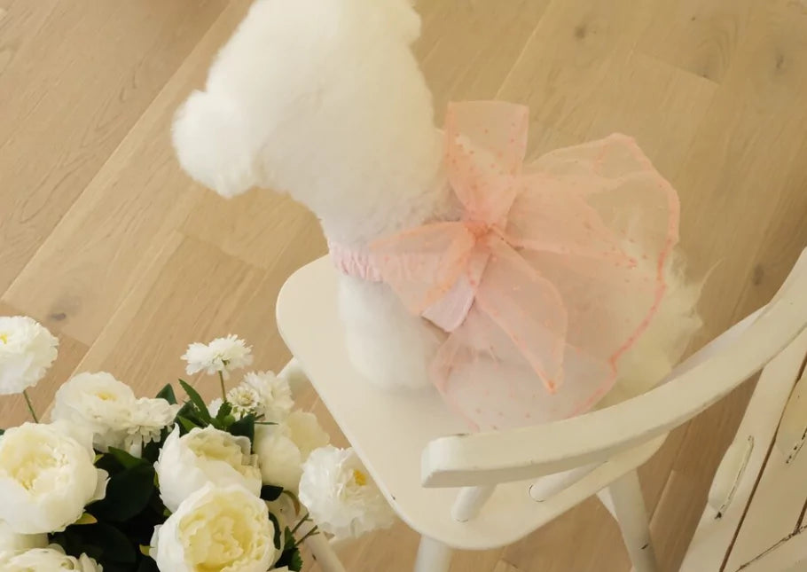 Tinkerbell One Piece Harness