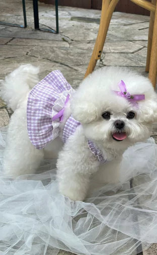 Margot Check Ops (Purple)
