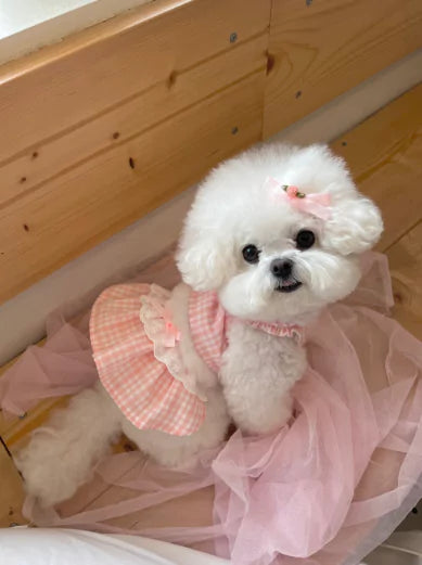 Margot Check Ops (Peach)
