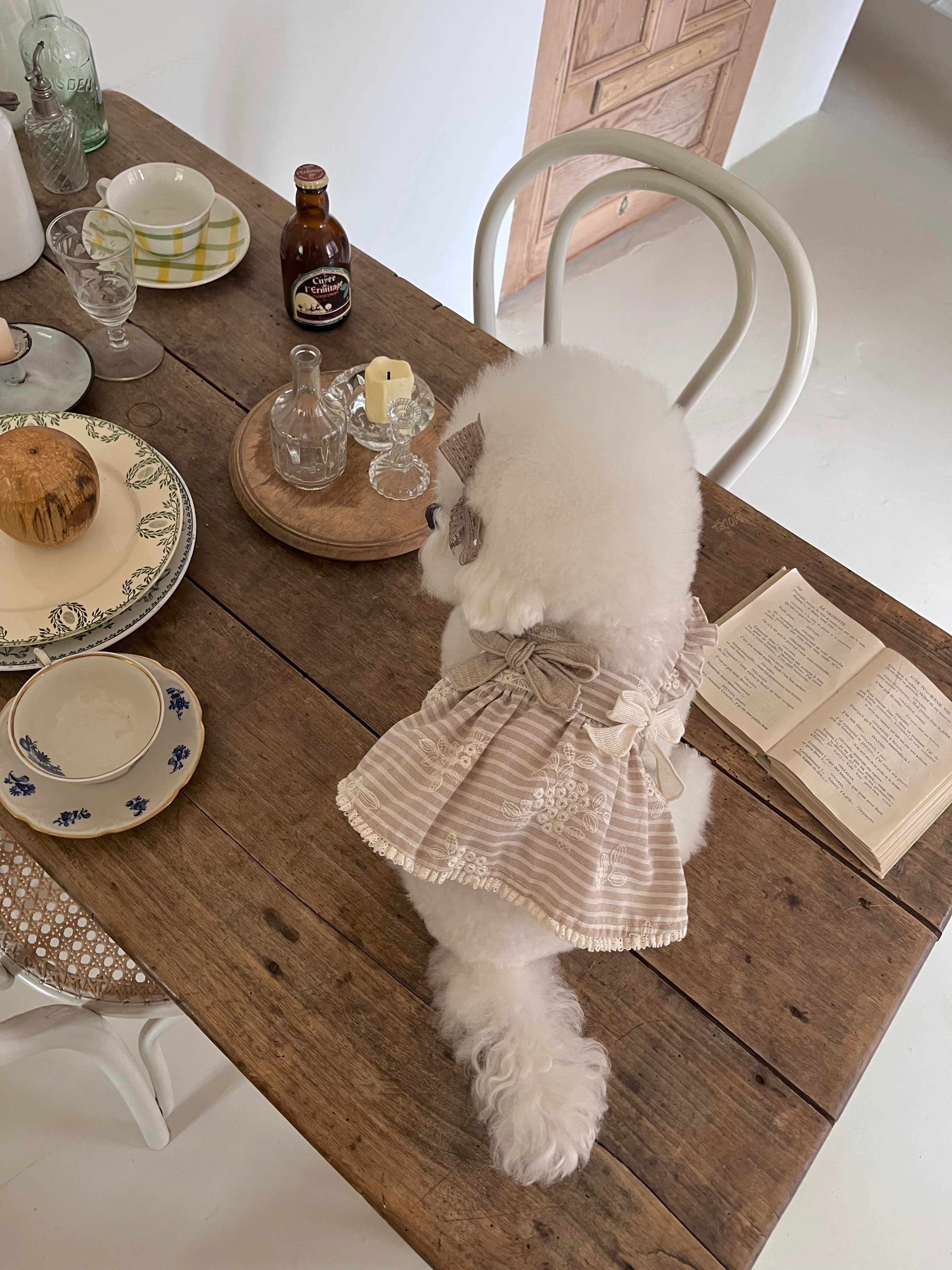 Bona Ribbon Ops (Beige)
