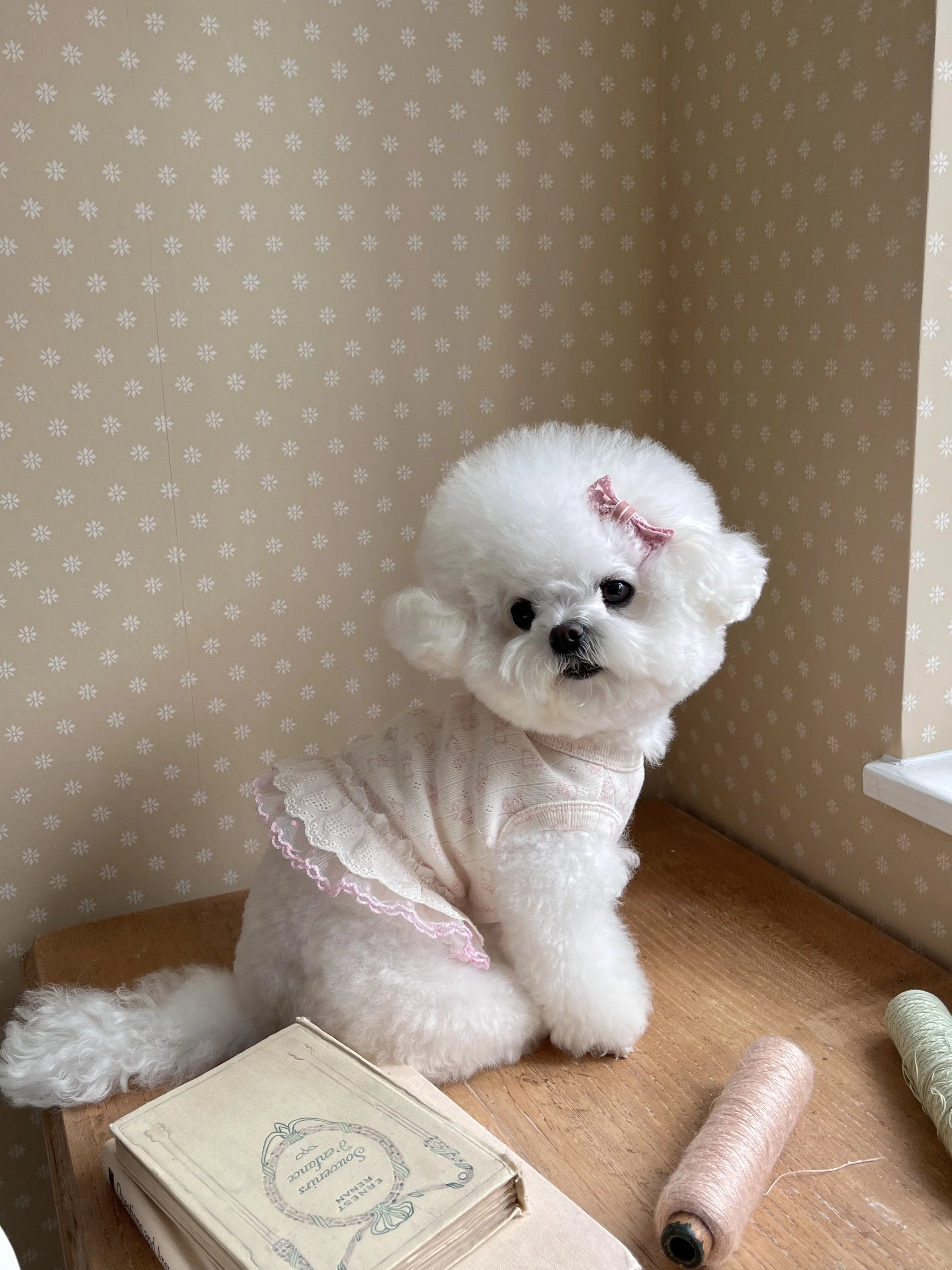 Nini Bear Sleeveless Pink (w/ Hairpin)