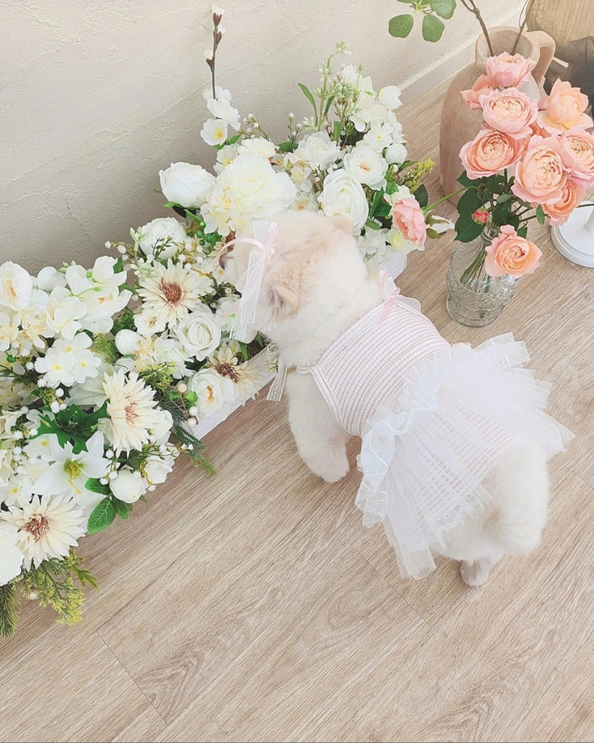 Shine Stripe Tutu Dress (Pink)