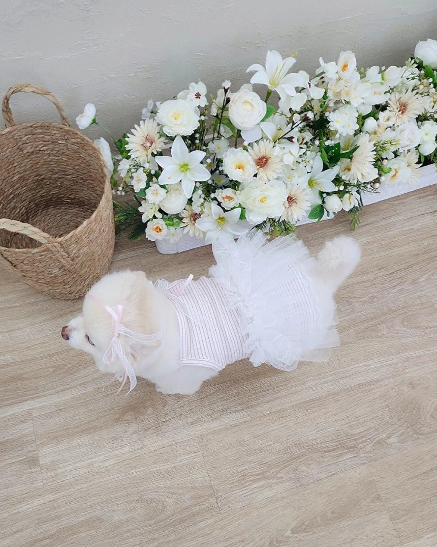 Shine Stripe Tutu Dress (Pink)