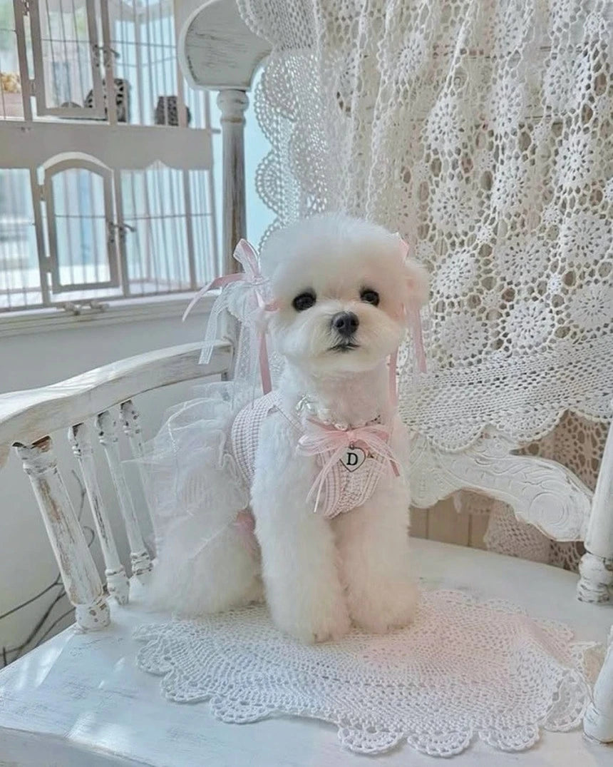 Shine Stripe Tutu Dress (Pink)