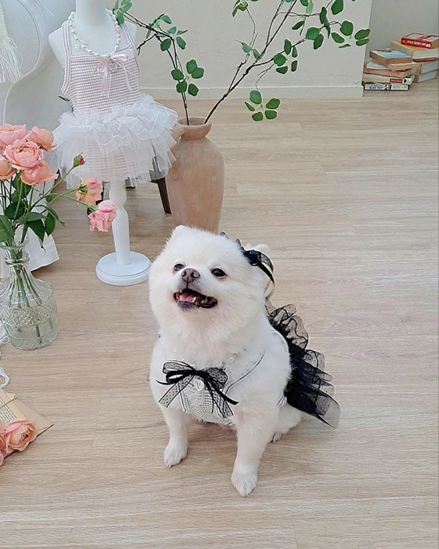 Shine Stripe Tutu Dress (Black)