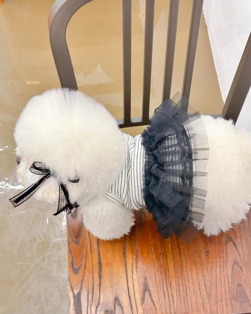 Shine Stripe Tutu Dress (Black)