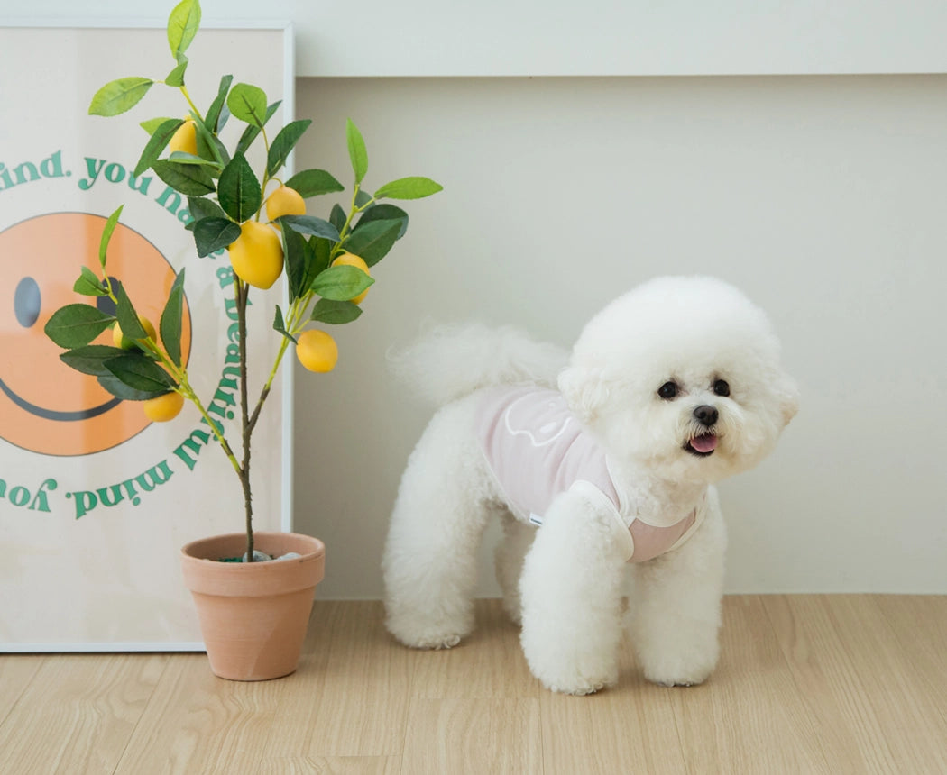 Rounded Square Sleeveless Top (Rose Pink)