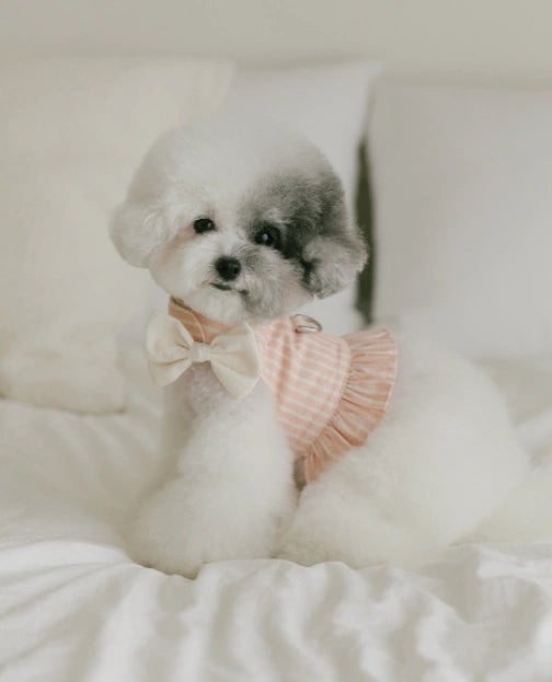 Ribbon Frill Harness