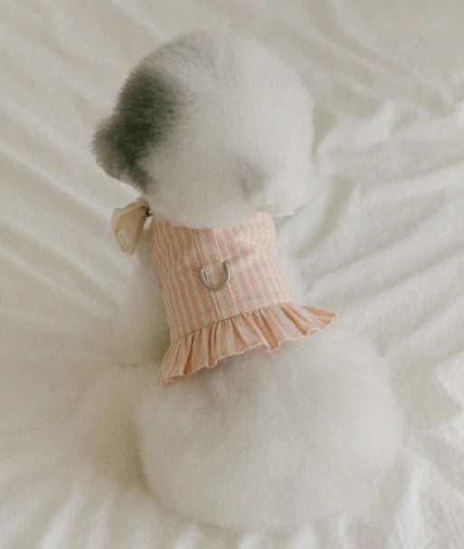 Ribbon Frill Harness