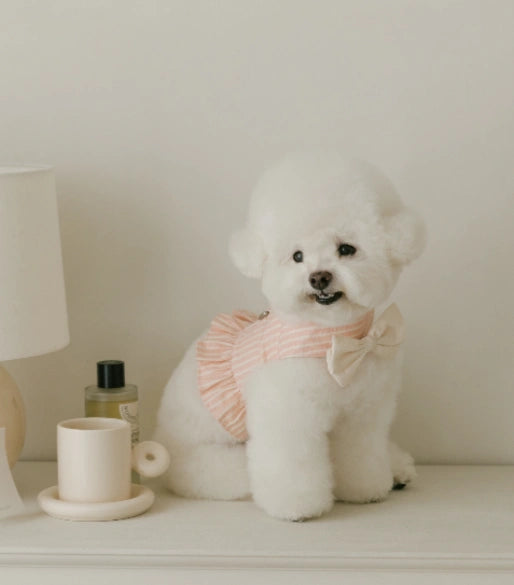 Ribbon Frill Harness