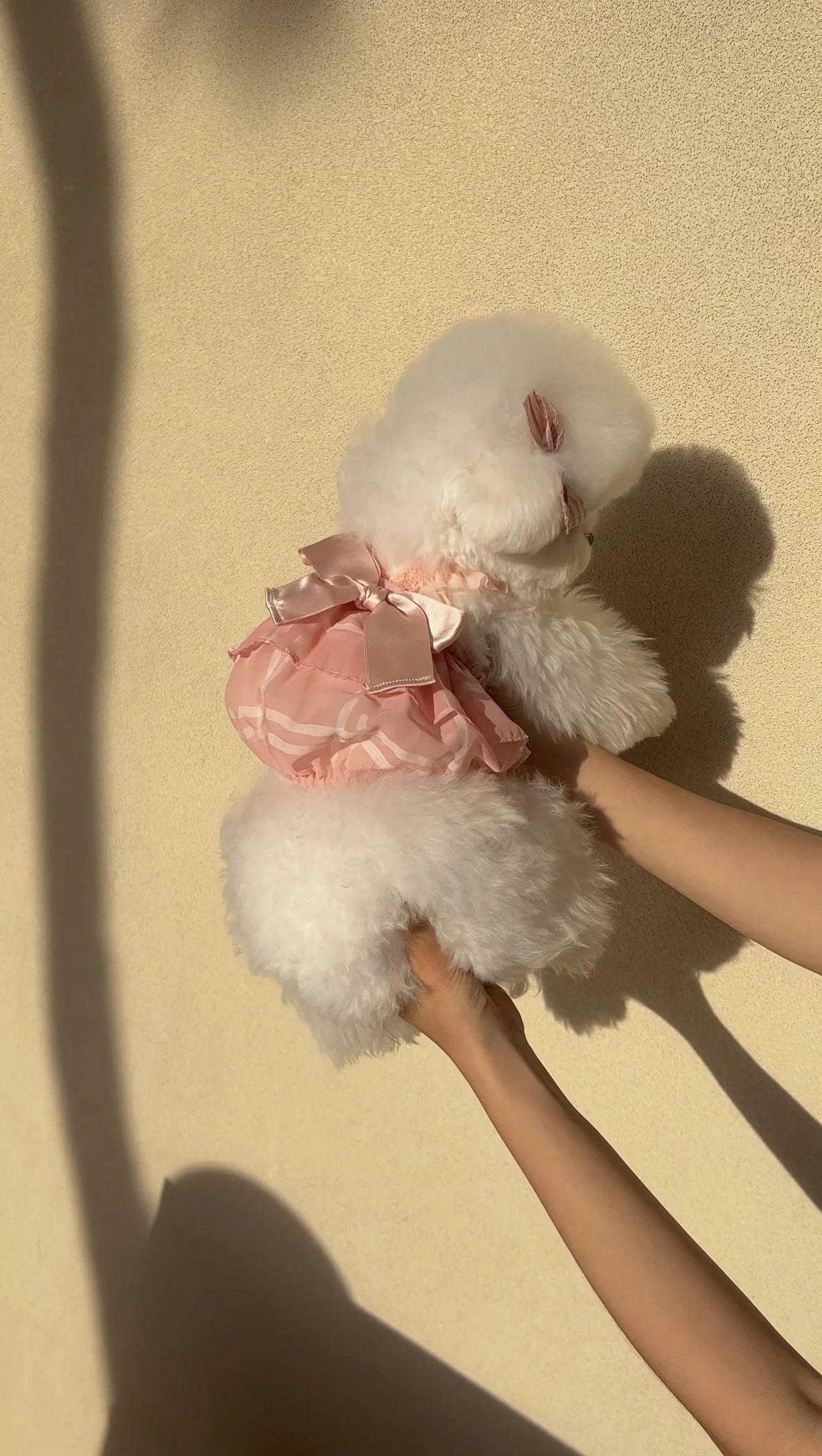 Pink See-Through Cancan