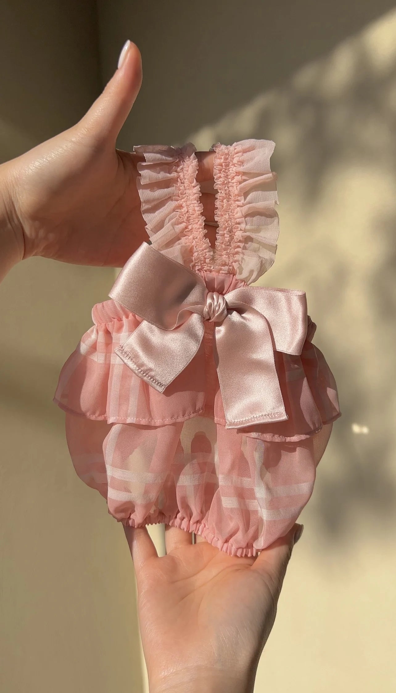 Pink See-Through Cancan