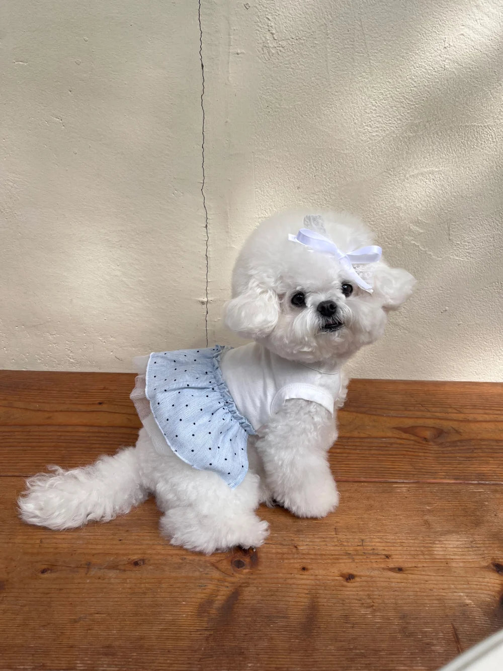Dots Tutu (Blue)