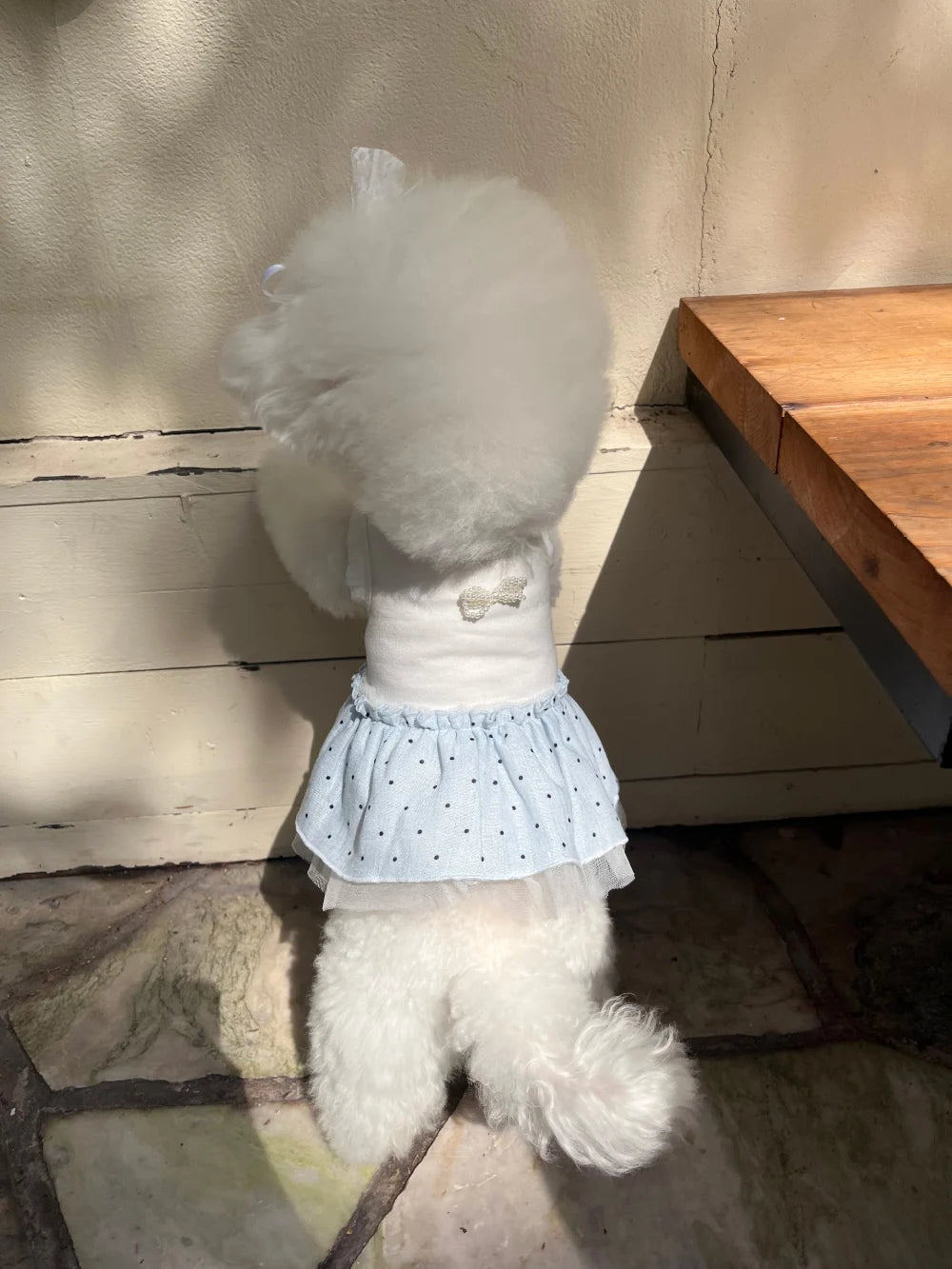 Dots Tutu (Blue)