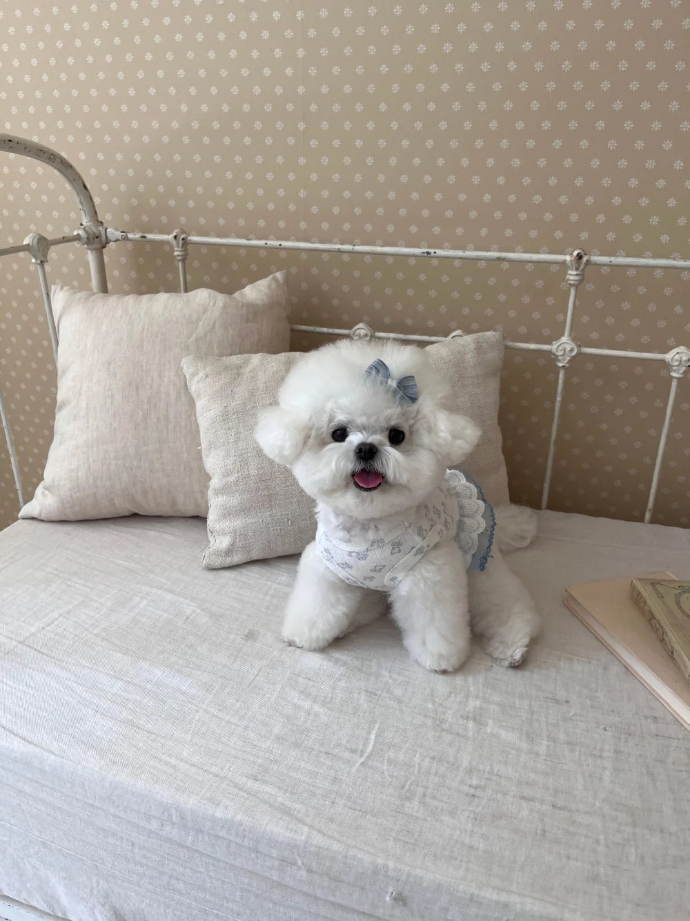 Nini Bear Sleeveless Blue