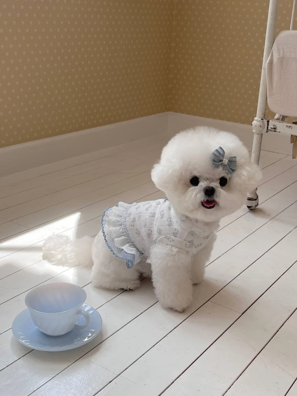 Nini Bear Sleeveless Blue