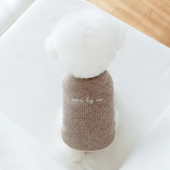 Palette Wool Knit Top