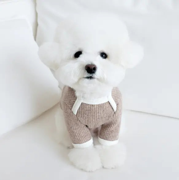 Palette Wool Knit Top