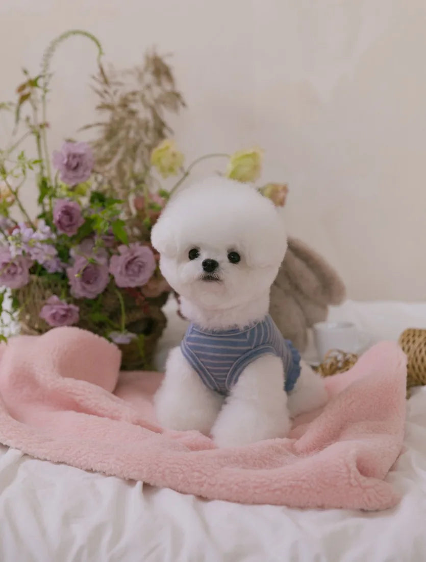 Autumn Bear Top (Blue Gray)