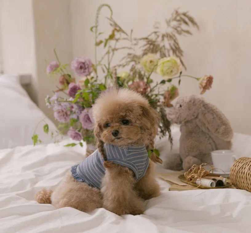 Autumn Bear Top (Blue Gray)