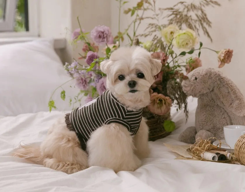 Autumn Bear Top (Brown Purple)