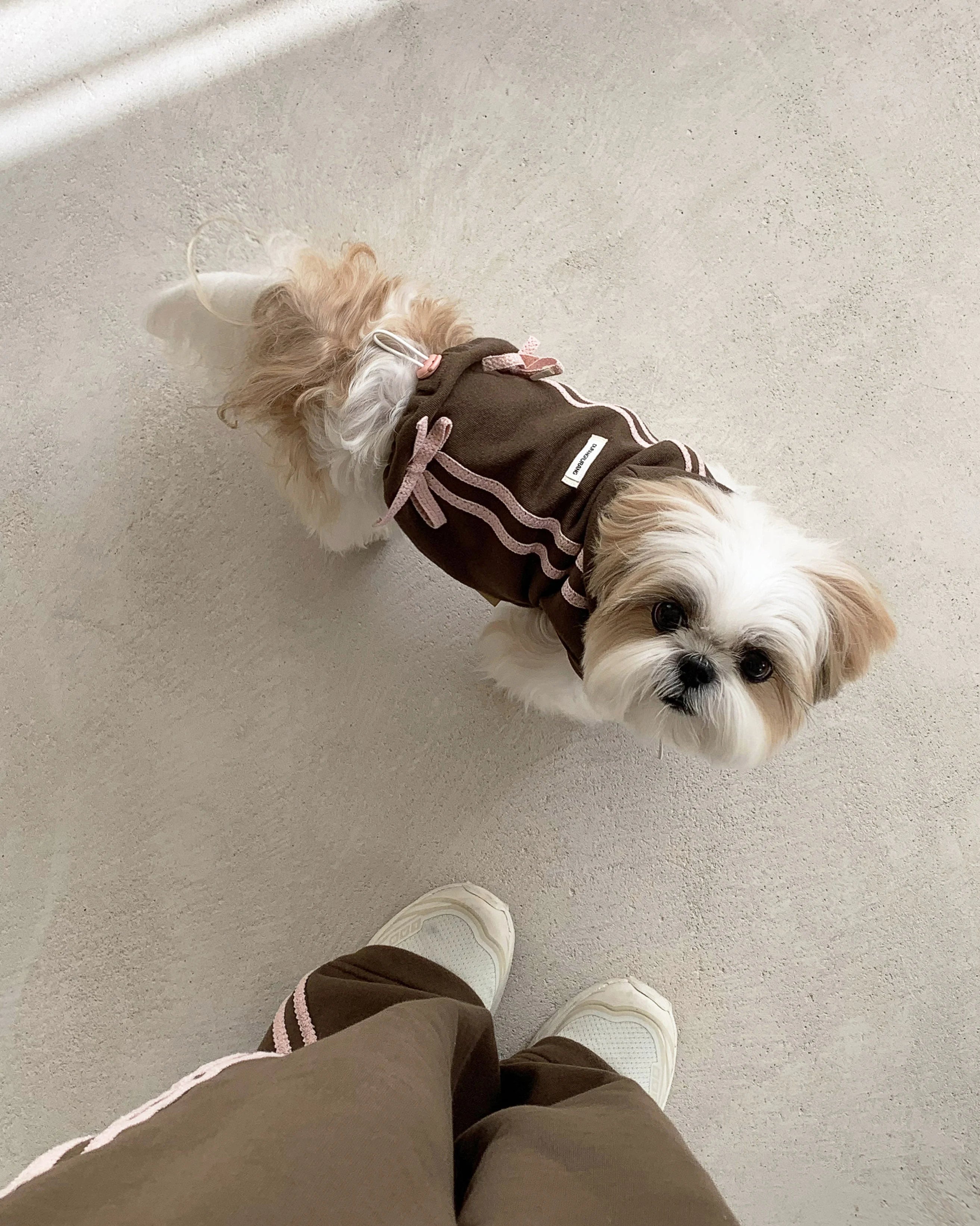 Ribbon Hoodie Jumper (Brown)