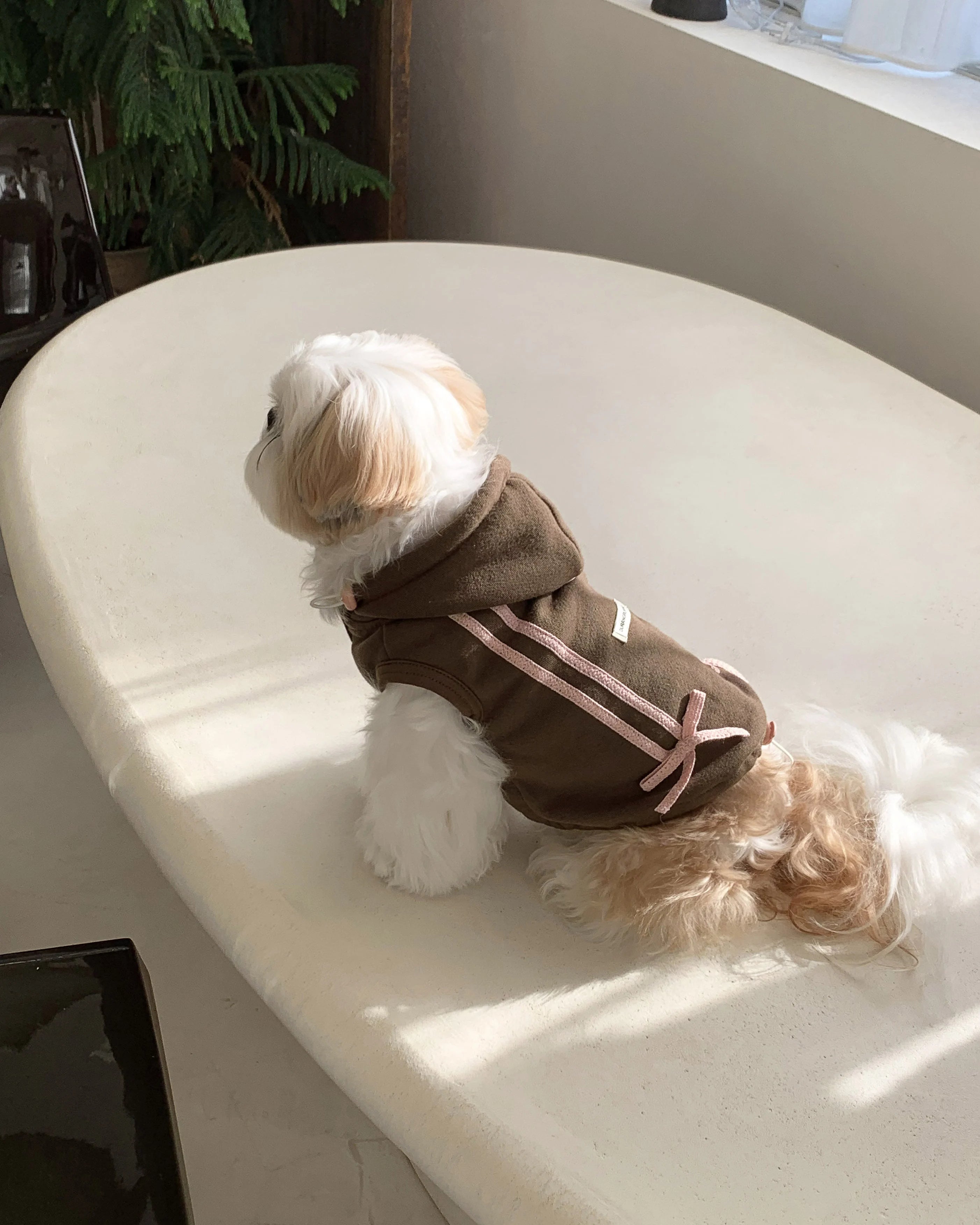 Ribbon Hoodie Jumper (Brown)