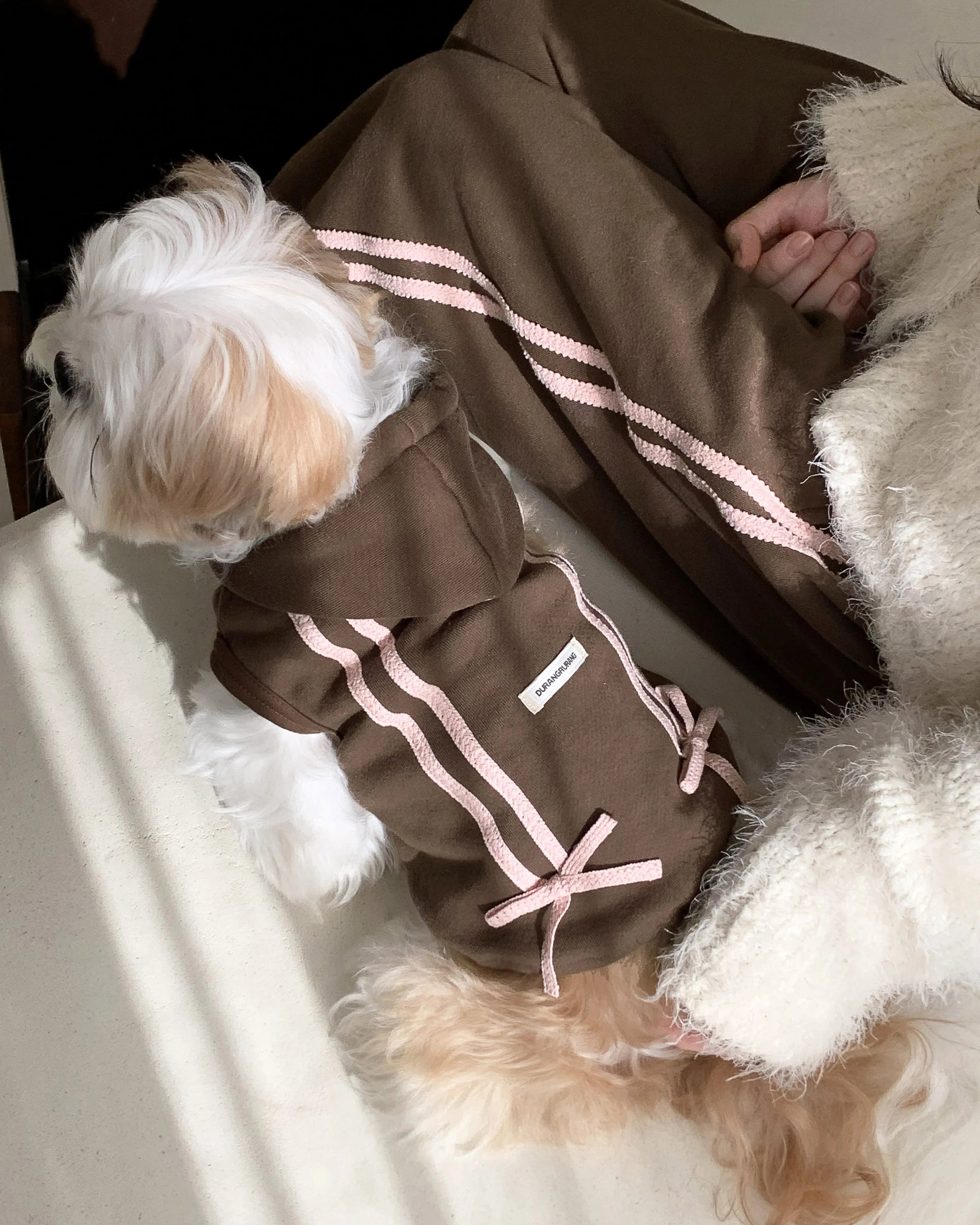 Ribbon Hoodie Jumper (Brown)