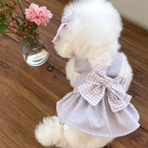 Purple Bustier Harness