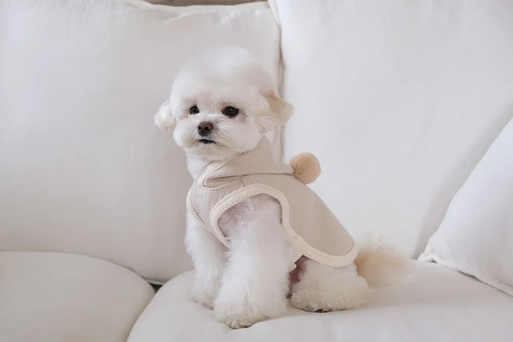 Cozy Knit Poncho (Ivory)
