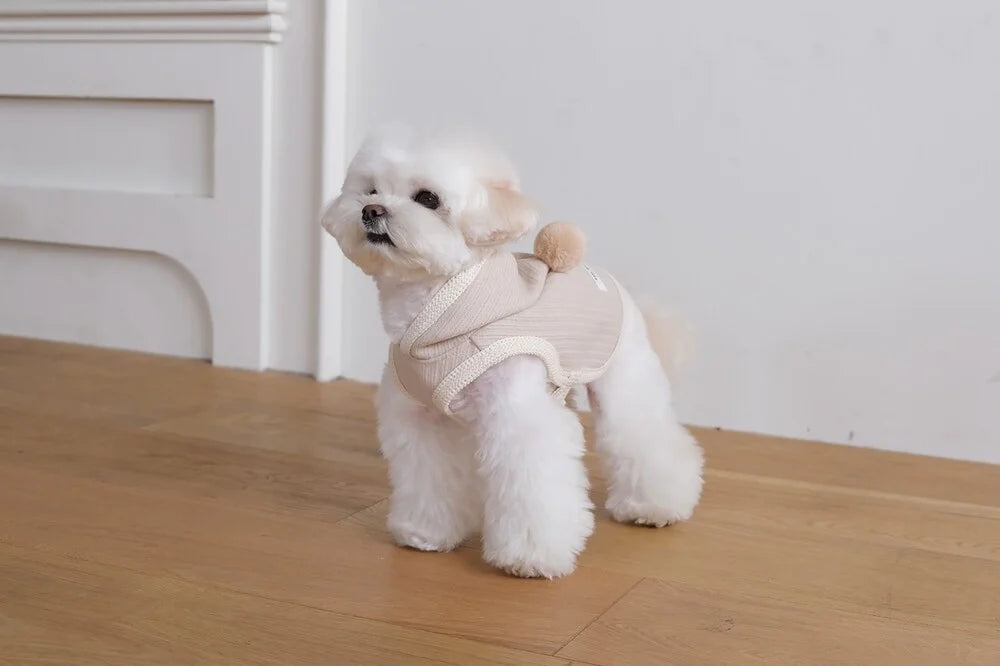 Cozy Knit Poncho (Ivory)