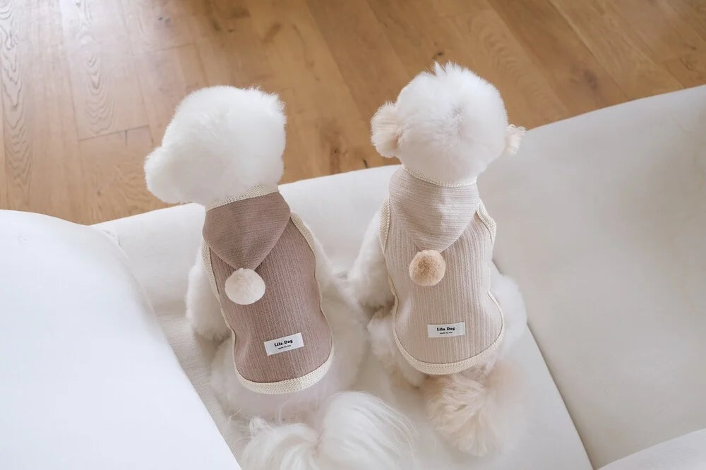 Cozy Knit Poncho (Ivory)