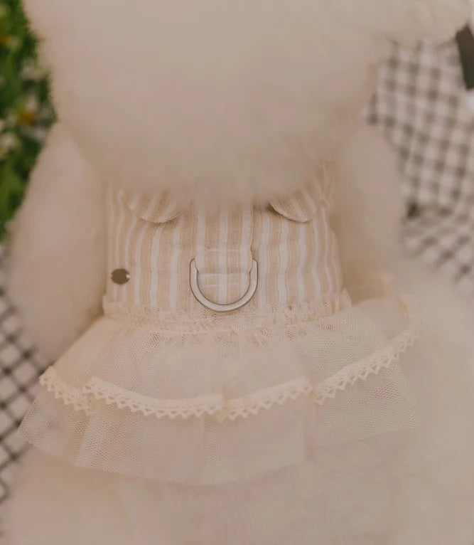 Beauté Harness