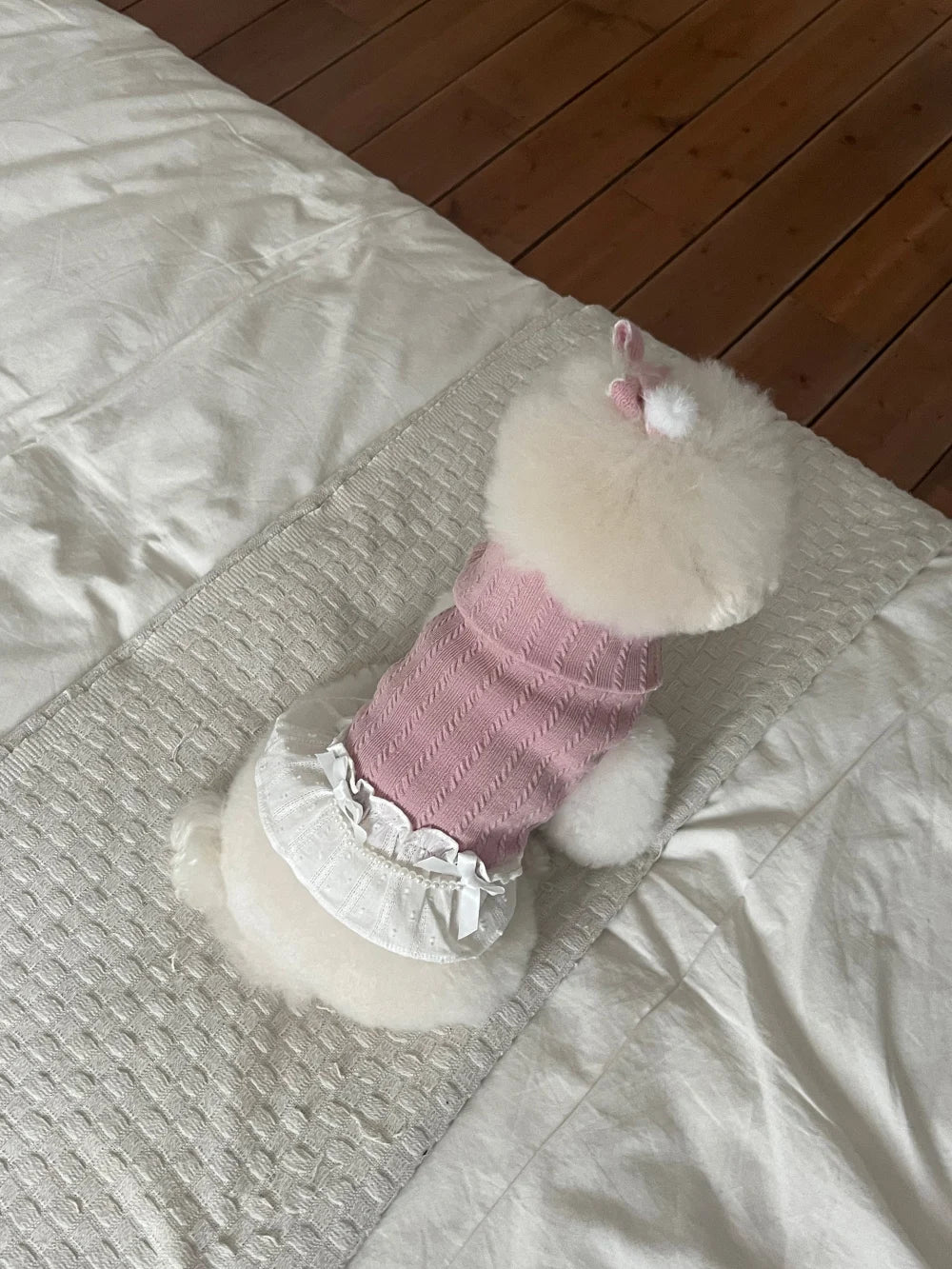 Ellie Knit Turtleneck (Pink)