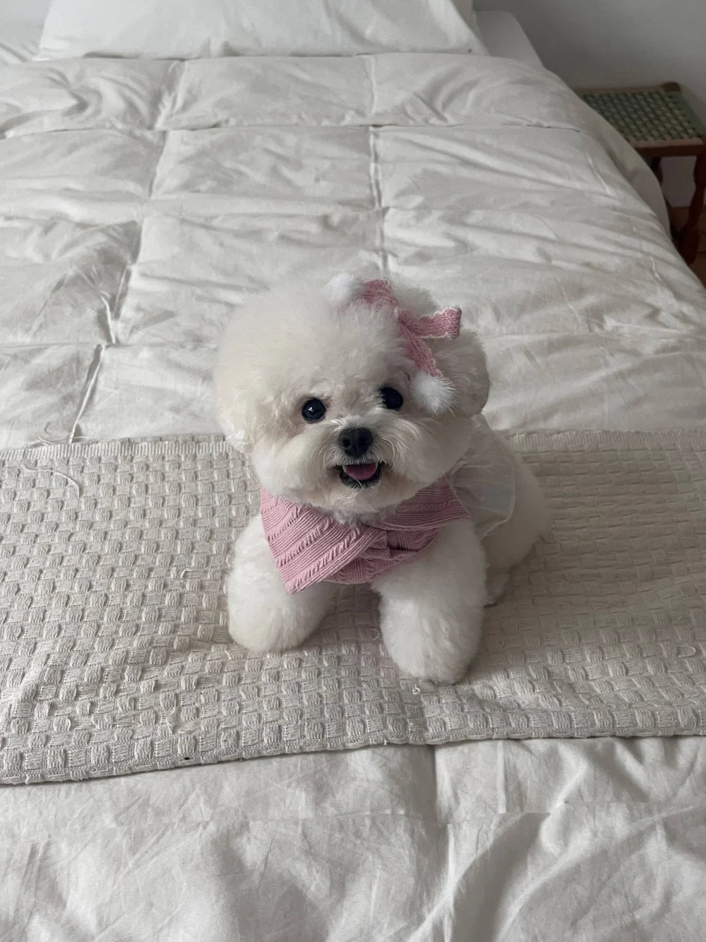 Ellie Knit Turtleneck (Pink)