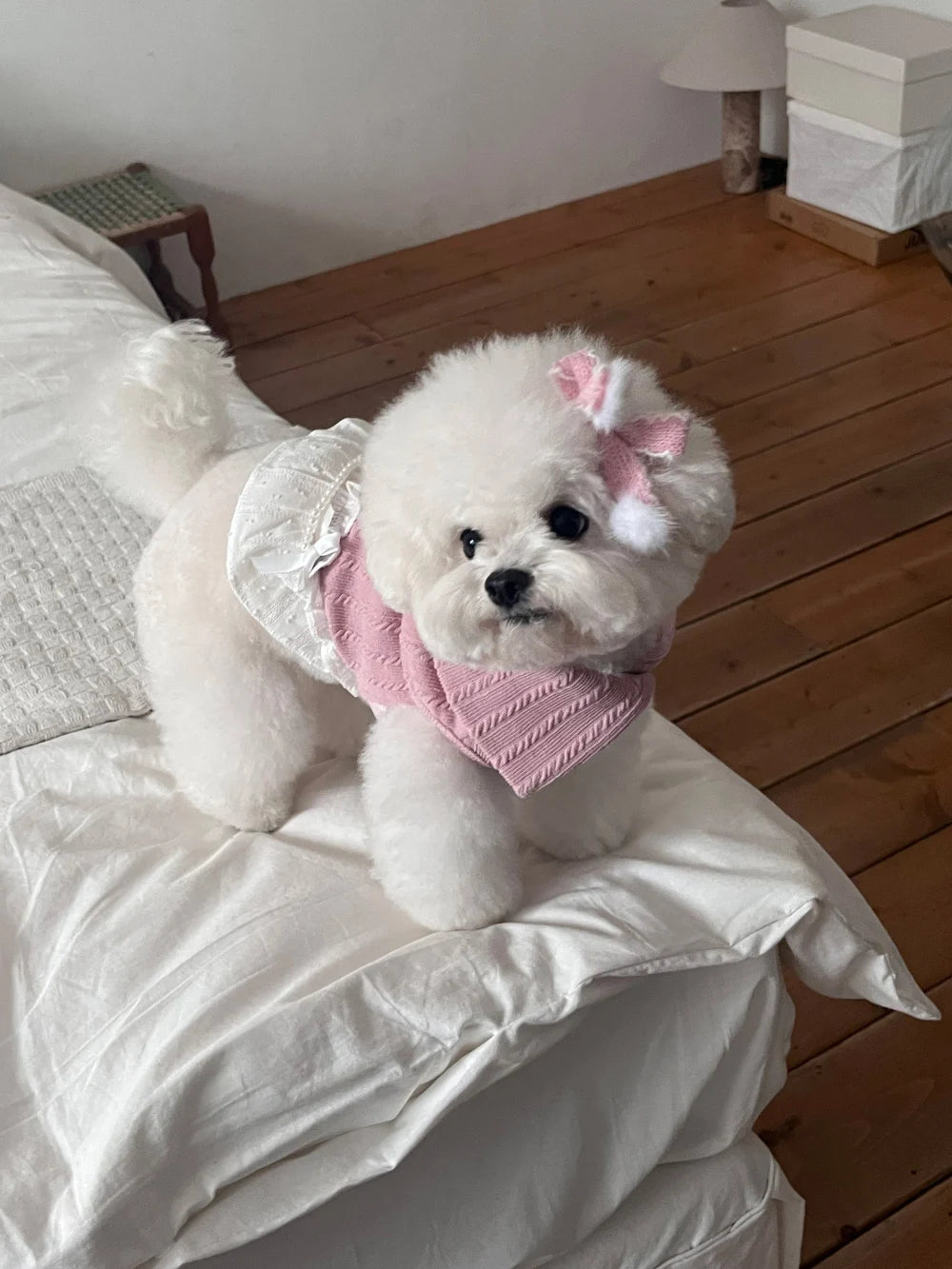 Ellie Knit Turtleneck (Pink)